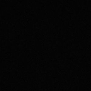 Meet your Posher, Fred